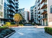 Housing and Rental image